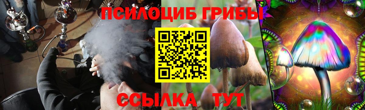 как найти закладки  Вход с VPN  Нижнеудинск  Галлюциногенные грибы прущие грибы 