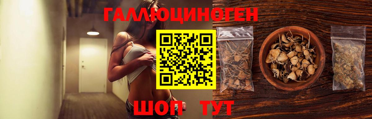 Псилоцибиновые грибы Psilocybe Нижнеудинск